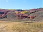 Pocatello Real Estate - MLS #570457 - Photograph #3