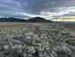 Pocatello Real Estate - MLS #570889 - Photograph #31