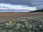 Pocatello Real Estate - MLS #570889 - Photograph #32