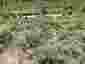 Pocatello Real Estate - MLS #576607 - Photograph #8