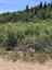 Pocatello Real Estate - MLS #576607 - Photograph #12