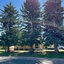 Pocatello Real Estate - MLS #577263 - Photograph #14