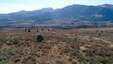 Pocatello Real Estate - MLS #577685 - Photograph #2