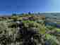 Pocatello Real Estate - MLS #577685 - Photograph #29