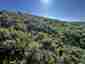 Pocatello Real Estate - MLS #577685 - Photograph #30
