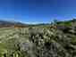 Pocatello Real Estate - MLS #577685 - Photograph #31