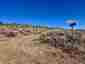 Pocatello Real Estate - MLS #577685 - Photograph #3