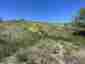 Pocatello Real Estate - MLS #577795 - Photograph #5