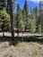 Pocatello Real Estate - MLS #577810 - Photograph #5