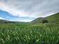 Pocatello Real Estate - MLS #577815 - Photograph #45