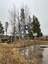 Pocatello Real Estate - MLS #577818 - Photograph #42