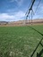 Pocatello Real Estate - MLS #578824 - Photograph #3