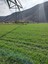 Pocatello Real Estate - MLS #578824 - Photograph #4