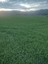 Pocatello Real Estate - MLS #578824 - Photograph #6