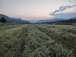 Pocatello Real Estate - MLS #578824 - Photograph #11