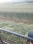 Pocatello Real Estate - MLS #578824 - Photograph #13