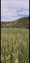 Pocatello Real Estate - MLS #578824 - Photograph #20