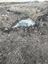 Pocatello Real Estate - MLS #578824 - Photograph #23