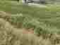 Pocatello Real Estate - MLS #578883 - Photograph #3
