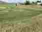 Pocatello Real Estate - MLS #578883 - Photograph #4