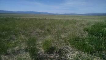 Nna Nna 635.48 Acres Airport Rd., Bancroft, Idaho