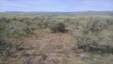 Pocatello Real Estate - MLS #579295 - Photograph #2