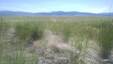 Pocatello Real Estate - MLS #579295 - Photograph #3