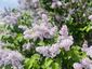 Pocatello Real Estate - MLS #579335 - Photograph #18