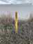 Pocatello Real Estate - MLS #579398 - Photograph #4