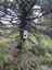 Pocatello Real Estate - MLS #579400 - Photograph #38
