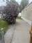 Pocatello Real Estate - MLS #579403 - Photograph #2
