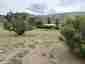 Pocatello Real Estate - MLS #579414 - Photograph #5