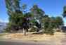 Pocatello Real Estate - MLS #579898 - Photograph #2