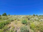 Pocatello Real Estate - MLS #579929 - Photograph #3