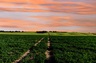Pocatello Real Estate - MLS #580103 - Photograph #3