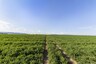 Pocatello Real Estate - MLS #580103 - Photograph #7
