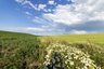 Pocatello Real Estate - MLS #580103 - Photograph #8