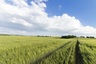 Pocatello Real Estate - MLS #580103 - Photograph #10
