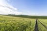 Pocatello Real Estate - MLS #580103 - Photograph #12