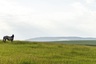 Pocatello Real Estate - MLS #580103 - Photograph #14
