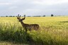 Pocatello Real Estate - MLS #580103 - Photograph #15