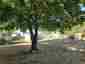 Pocatello Real Estate - MLS #580267 - Photograph #22