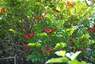 Pocatello Real Estate - MLS #580296 - Photograph #31