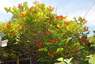 Pocatello Real Estate - MLS #580296 - Photograph #32