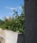 Pocatello Real Estate - MLS #580297 - Photograph #47