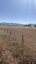 Pocatello Real Estate - MLS #580369 - Photograph #7