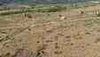 Pocatello Real Estate - MLS #580511 - Photograph #12
