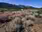 Pocatello Real Estate - MLS #580511 - Photograph #20