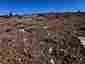 Pocatello Real Estate - MLS #580511 - Photograph #23