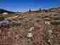 Pocatello Real Estate - MLS #580511 - Photograph #24